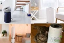 best air purifier4