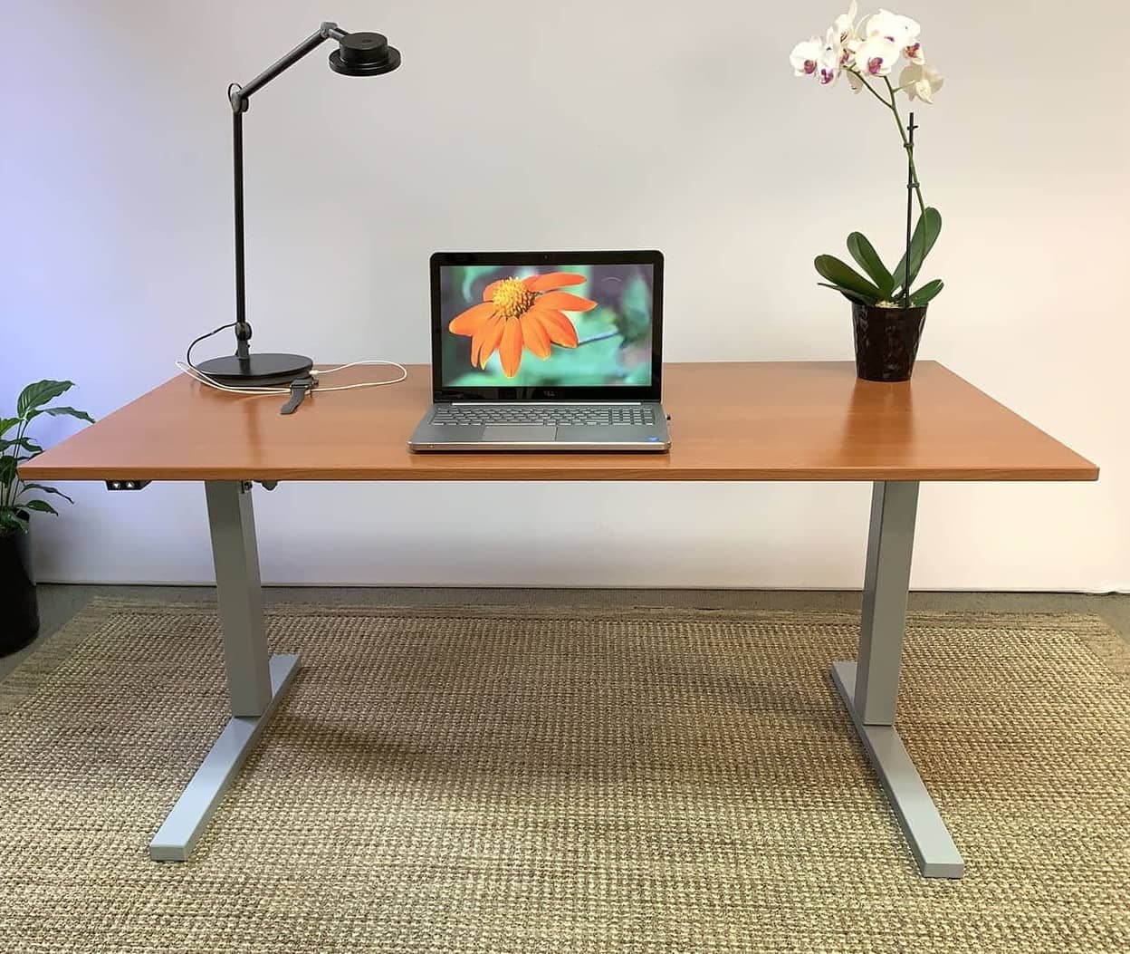 Amenity standing desk