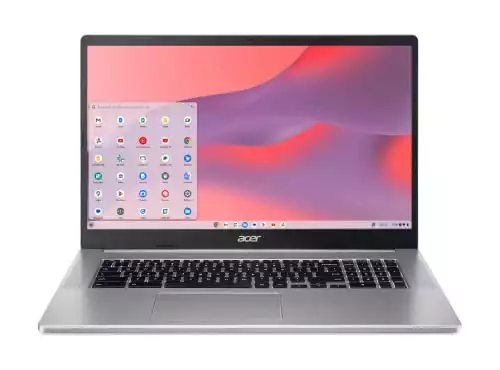 Acer Chromebook 317