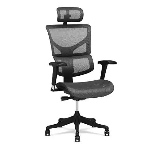 X-Chair X1 High End Task Chair, Grey Flex Mesh with Headrest Ergonomic Office Seat/Dynamic Variable Lumbar Support/Highly Adjustable/Relaxed Recline/Perfect for Office or Home Desk