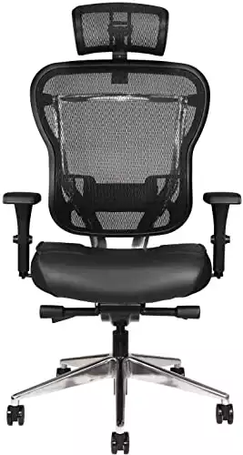 Oak Hollow Furniture Aloria Series Office Chair Ergonomic Executive Computer Chair Genuine Leather Seat Cushion, Mesh Back Adjustable Lumbar Support Swivel Tilt High-Back (Black, Tall, Headrest)