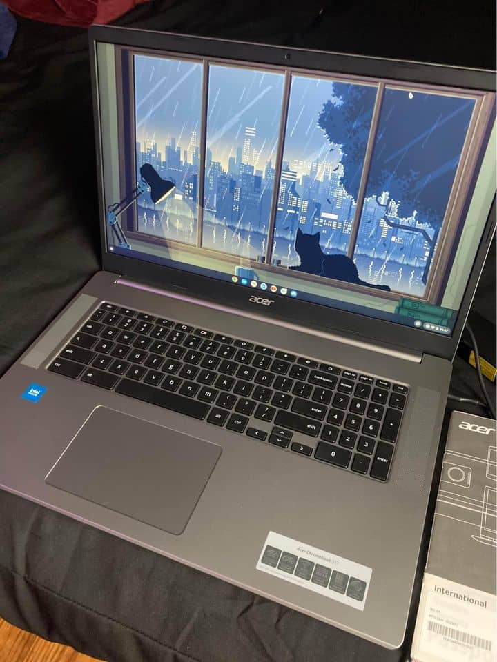 Acer Chromebook 317