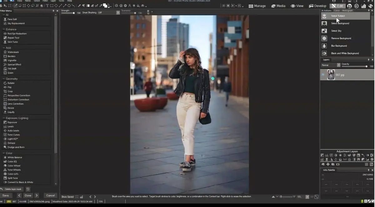 ACDSee Photo Studio INTERFACE (1)