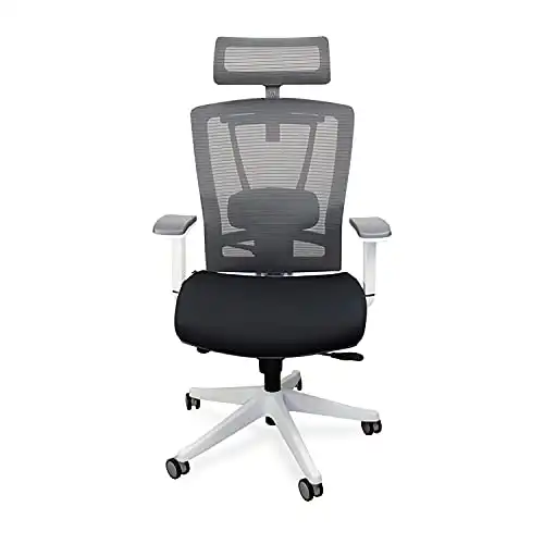 Autonomous Premium Ergonomic Office Chair for Computer or Gaming, with Wheels, Lumbar Support, Adjustable Seat, Headrest, and Armrests, Mesh Back, Medium, Black - White