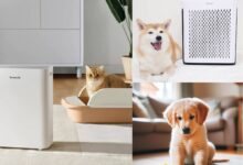 Best-Air-Purifier-for-Households-with-Multiple-Pets1