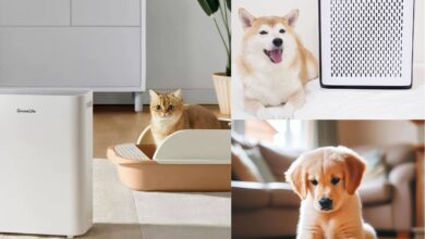 Best-Air-Purifier-for-Households-with-Multiple-Pets1