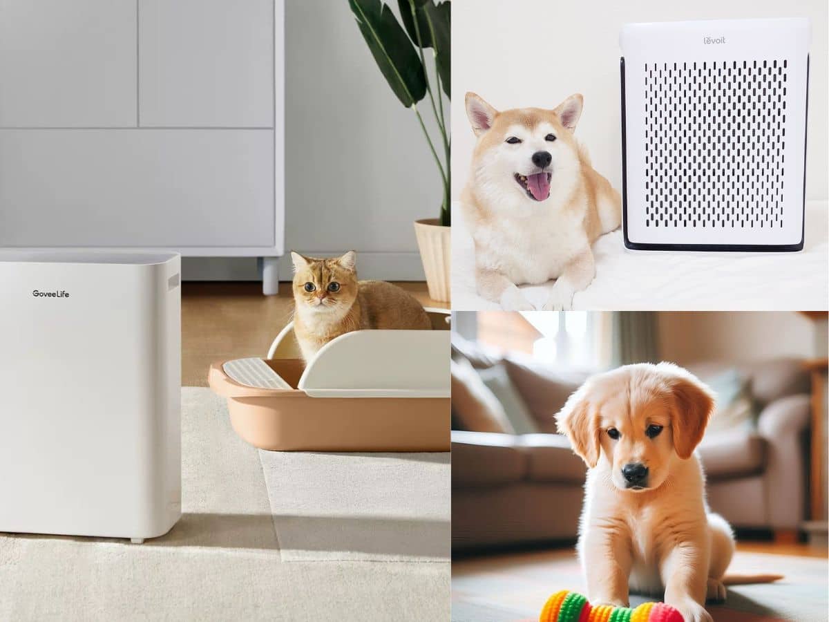 Best-Air-Purifier-for-Households-with-Multiple-Pets1