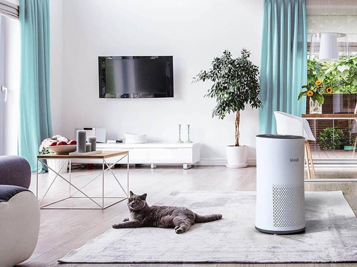 Best-Air-Purifier-for-Households-with-Multiple-Pets3