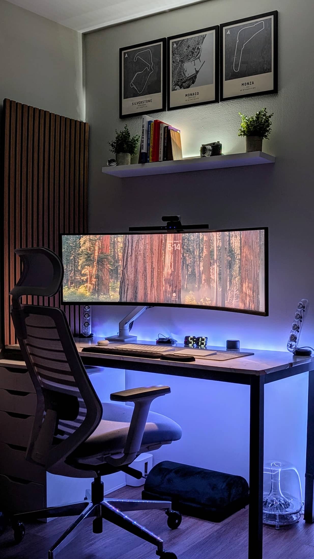 Branch Ergonomic Chair Pro setup