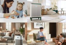 10-best-air-purifiers-for-mold