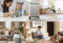 10-best-air-purifiers-for-mold