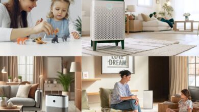 10-best-air-purifiers-for-mold