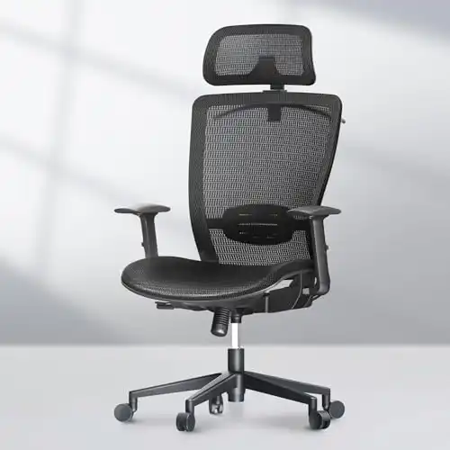 FLEXISPOT Ergonomic Office Chair High Back Mesh Swivel Computer Chair Home Office Desk Chairs with Wheels Lumbar Support Deep Black