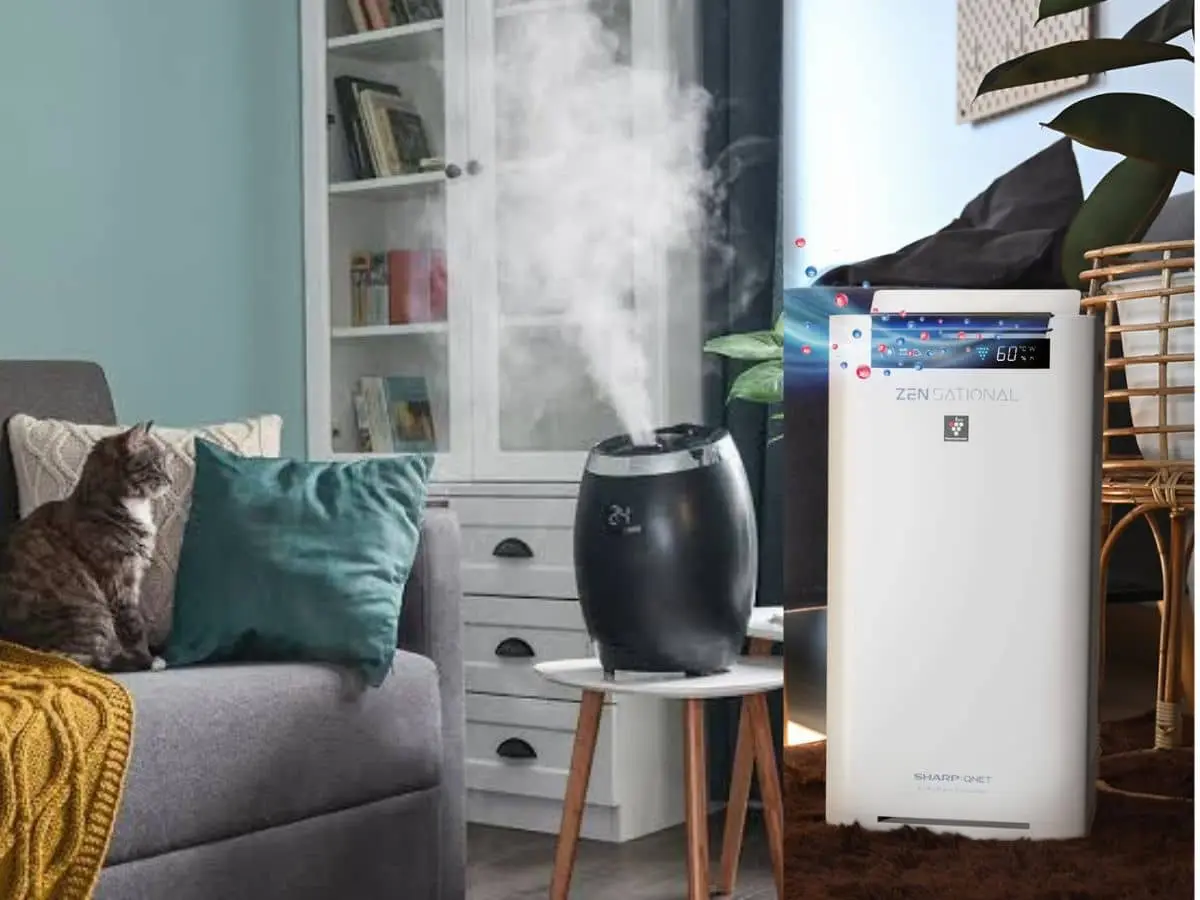 Best-Air-Purifier-and-Humidifier-for-All-Year-Round4.