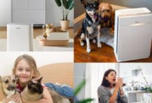 Best-Air-Purifier-for-Chronic-Pet-Allergies-and-Asthma