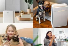 Best-Air-Purifier-for-Chronic-Pet-Allergies-and-Asthma