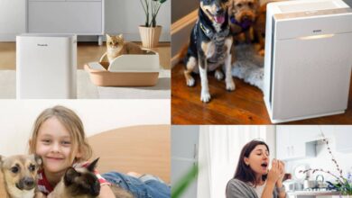 Best-Air-Purifier-for-Chronic-Pet-Allergies-and-Asthma