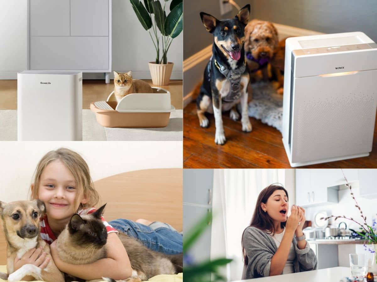 Best-Air-Purifier-for-Chronic-Pet-Allergies-and-Asthma