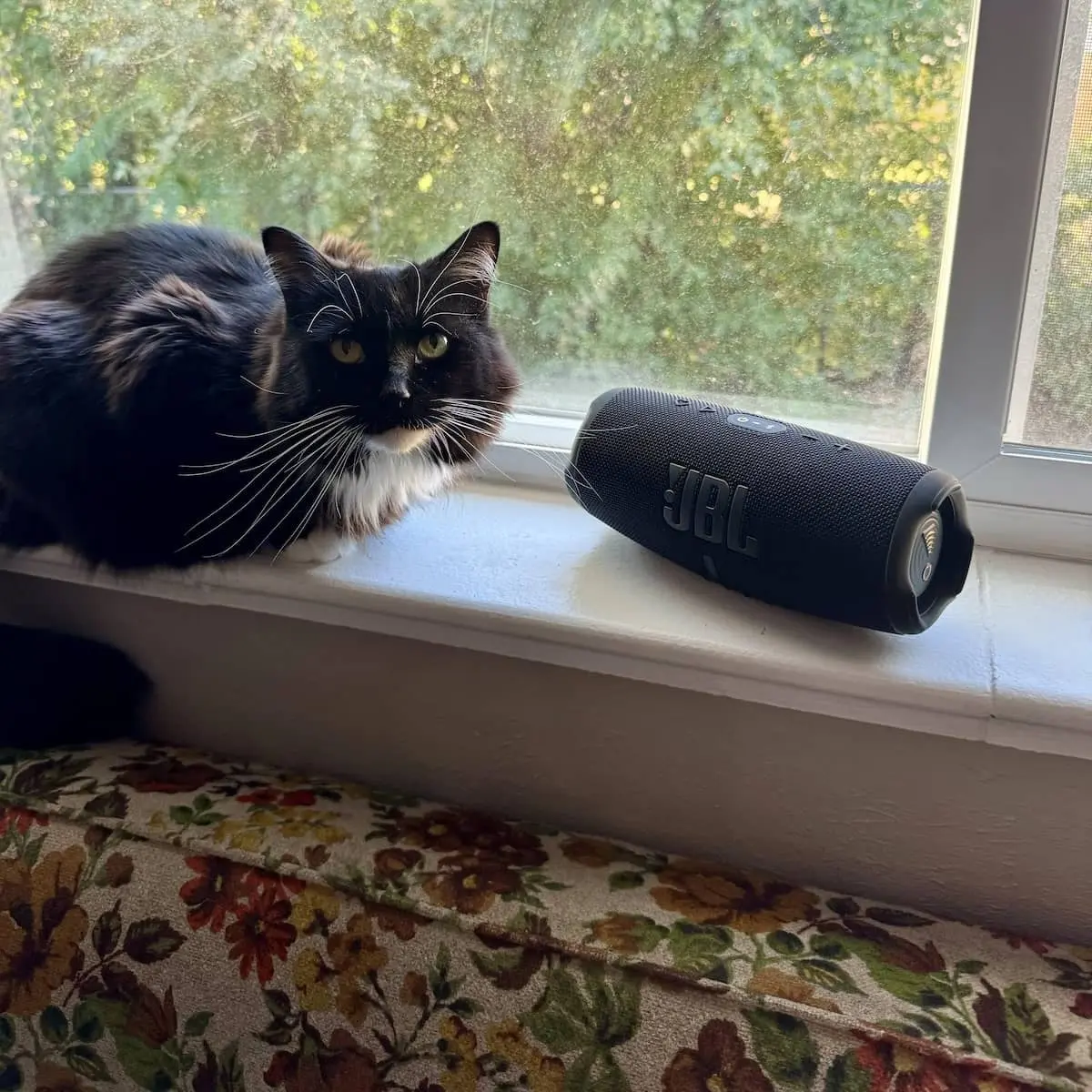 JBL Charge 5