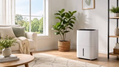 Best dehumidifier
