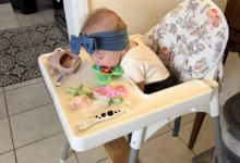 Best high chair