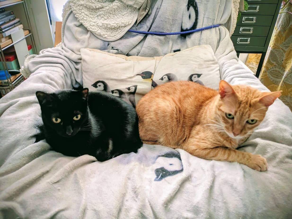 Best electric blanket