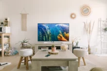 Best Smart TV Brand