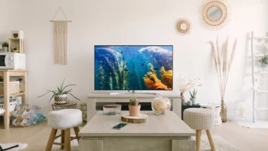 Best Smart TV Brand