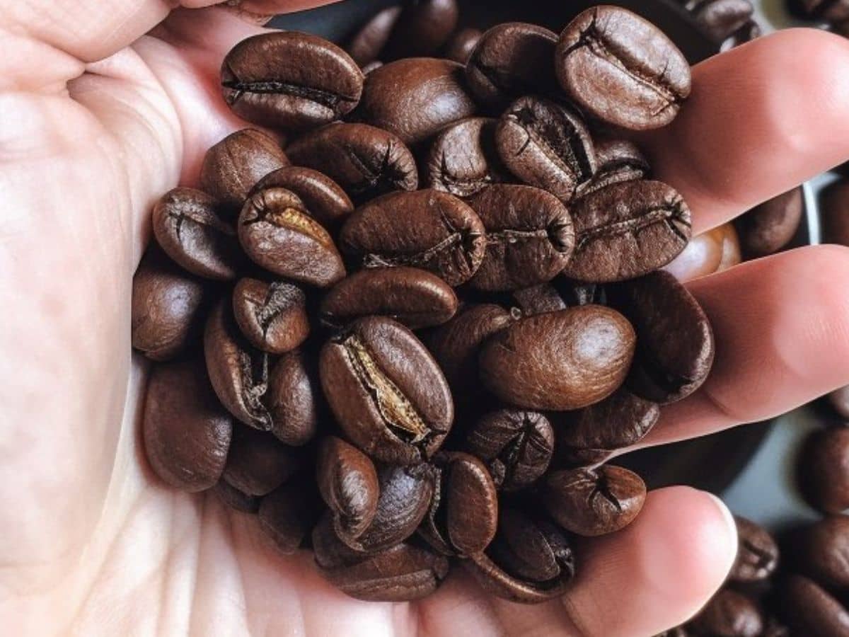 Best-Versatile-Coffee-Beans-for-an-Espresso-Maker4.