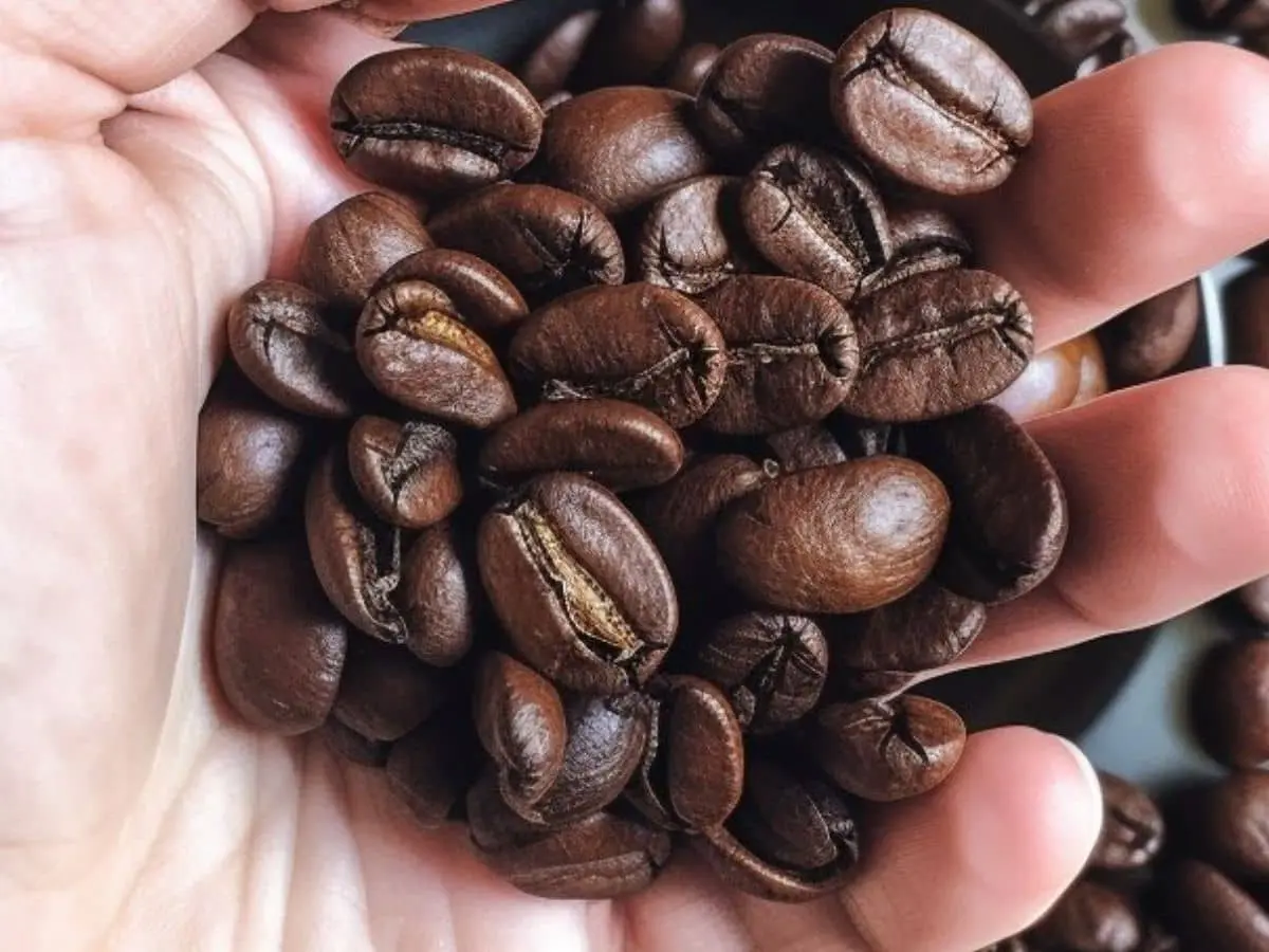 Best-Versatile-Coffee-Beans-for-an-Espresso-Maker4.