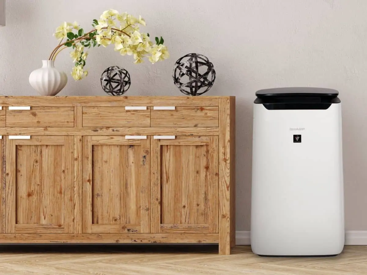 Best-Air-Purifier-and-Dehumidifier-All-in-One_-For-Every-Space2.