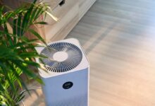 Best Air Purifier for Canadian