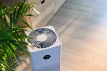 Best Air Purifier for Canadian