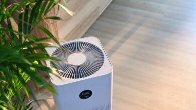Best Air Purifier for Canadian