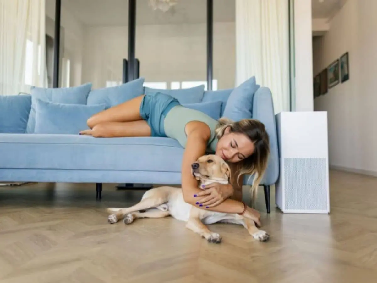 Best-Air-Purifiers-for-Canadian-Homes3.