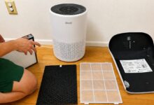 Best air purifier for dorm room